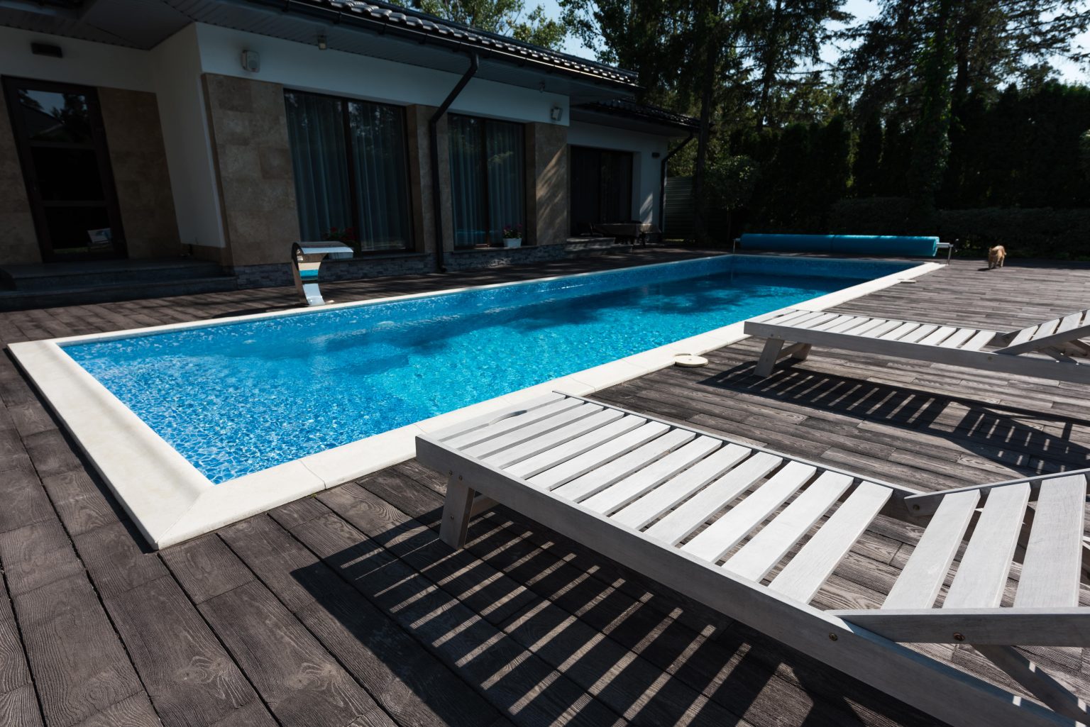 Renting your property when it has a pool Alter Property Management